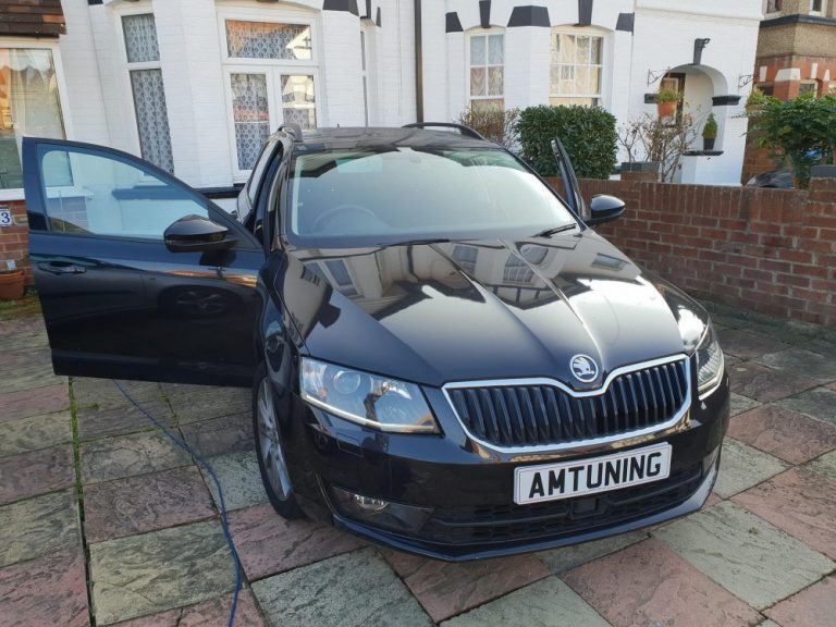 Read more about the article Skoda DSG Remapping in Hampshire